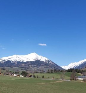 Greimblick